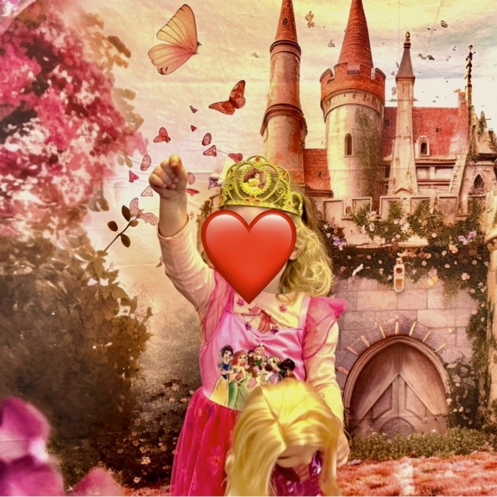 Castle Backdrop for photos or as a party backdrop (size 5 x 7).